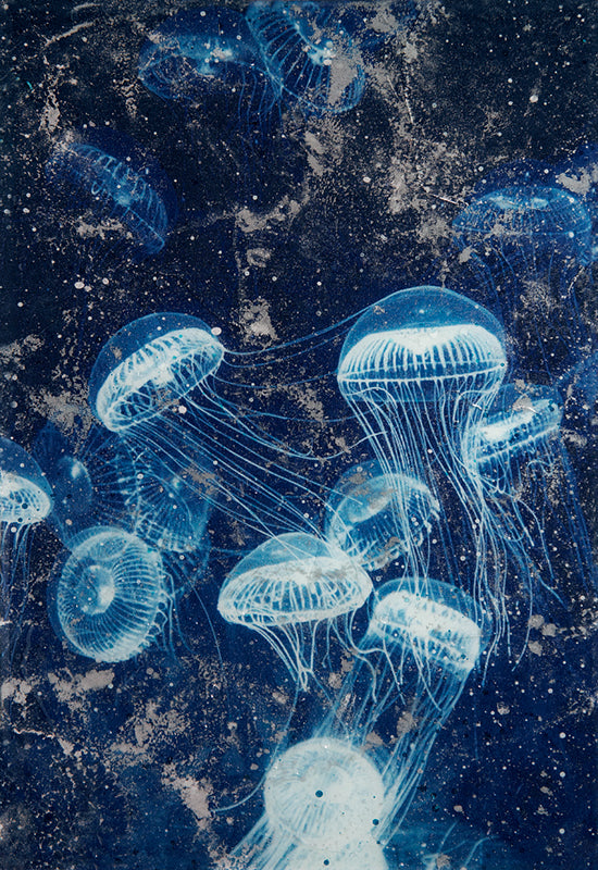 Blue Poison Tiles – Coliseum Tile